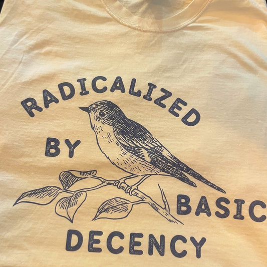 Radicalized By Basic Decency Comfort Colors Tee